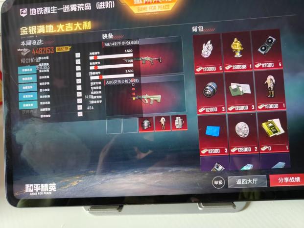 和平精英辅助【九世】
